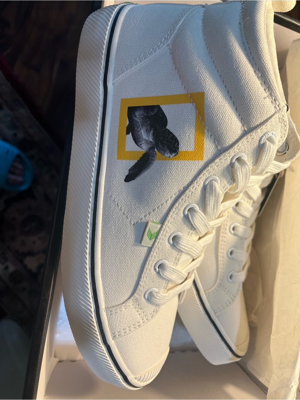 Cariuma High-Top Canvas Sneaker in White and Green Accents